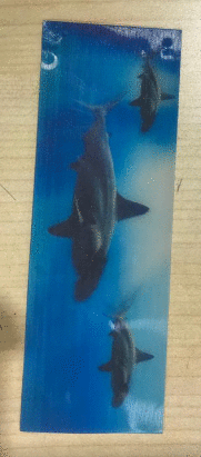 SEPARADORES TIBURONES