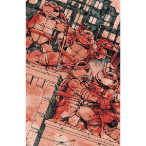 TEENAGE MUTANT NINJA TURTLES 1C
