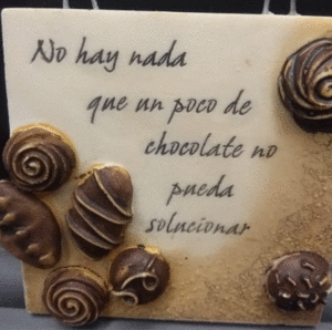 H&H LATIN AMERICA IMANES PEQUEÑOS CHOCOLATE/NO HAY NADA
