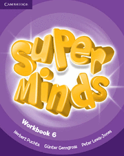 SUPER MINDS LEVEL 6 WORKBOOK