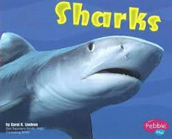 SHARKS