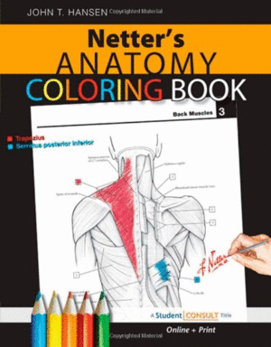NETTERS ANATOMY COLORING BOOK 3
