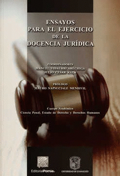 ENSAYOS PARA EL EJERCICIO DE LA DOCENCIA JURÍDICA