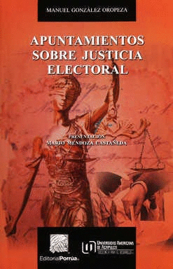 APUNTAMIENTOS SOBRE JUSTICIA ELECTORAL