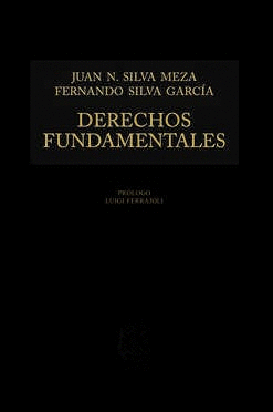 DERECHOS FUNDAMENTALES