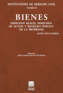 INSTITUCIONES DE DERECHO CIVIL TOMO II: BIENES