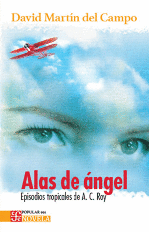 ALAS DE ÁNGEL