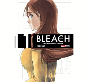 BLEACH REMIX N.11