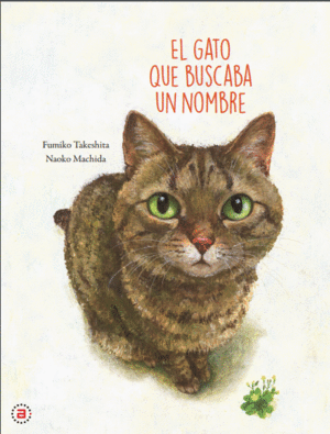 GATO QUE BUSCABA UN NOMBRE