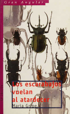 LOS ESCARABAJOS VUELAN AL ATARDECER