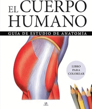 EL CUERPO HUMANO