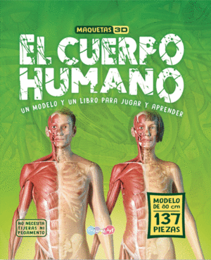 EL CUERPO HUMANO