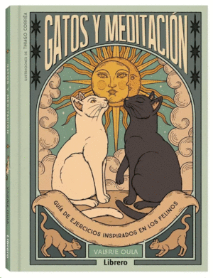 GATOS Y MEDITACION