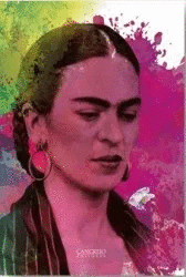 LIBRO DIARIO FRIDA KAHLO - TINTA