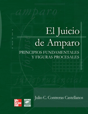 JUICIO DE AMPARO PRINCIPIOS FUNDAMENTALES