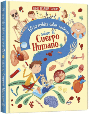 EL CUERPO HUMANO