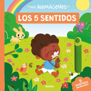 MIS ANIMÁGENES LOS 5 SENTIDOS