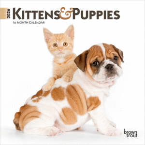 KITTENS & PUPPIES 2026 MINI 7X7