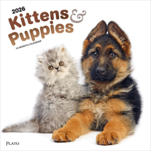 KITTENS & PUPPIES 2026 SQUARE PLATO FOIL